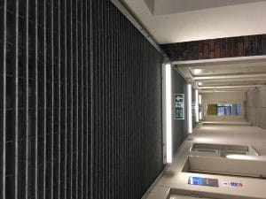 IMG_3442-1