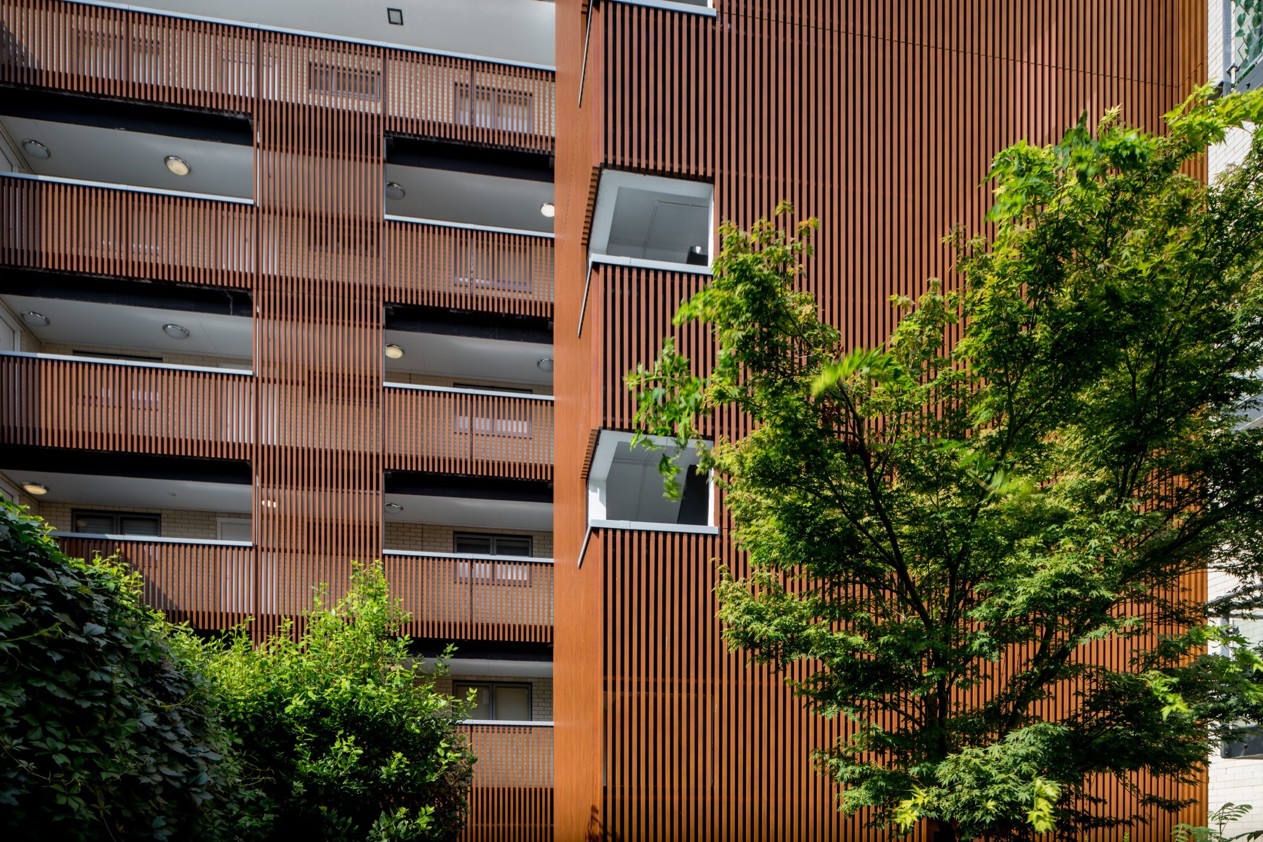 Prospect and Hick House Cladding-17